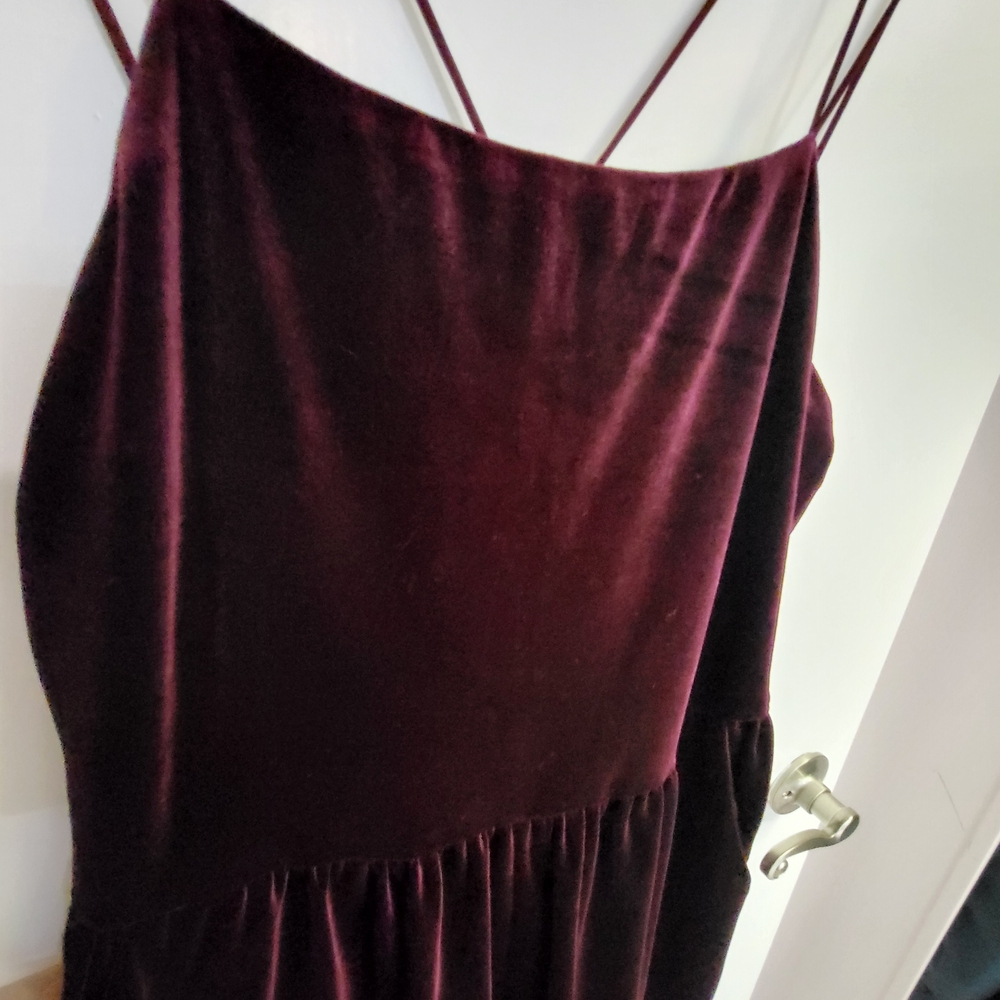 Boutique 1861 Deep Burgundy Velvet Dress